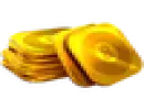 Pool Coda Bundle
