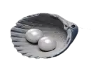 300 Echo Beads