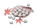 3000 Echo Beads